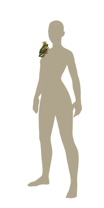 Roi Grenouille (familier)